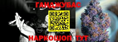 индика Моздок