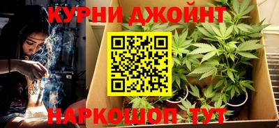 индика Моздок