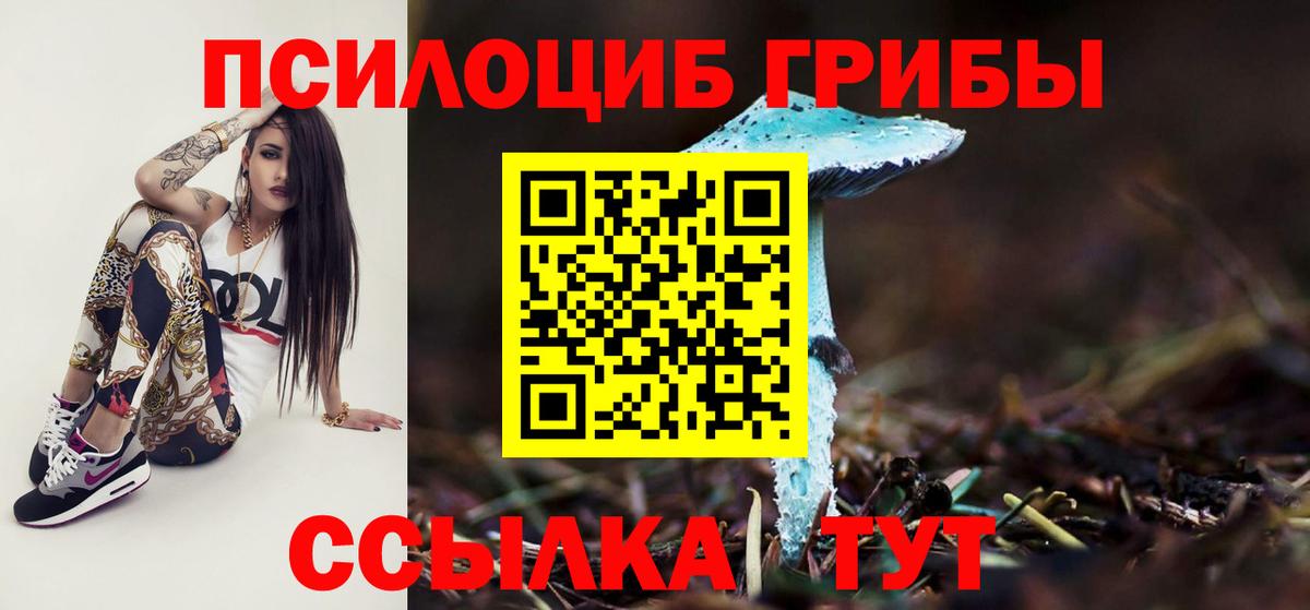 Галлюциногенные грибы Psilocybine cubensis  Вход с VPN  Видное 